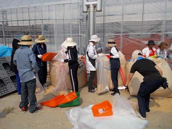 ボランティア02