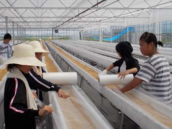 ボランティア03