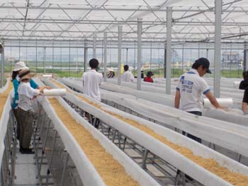 ボランティア06