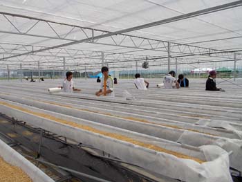 ボランティア07