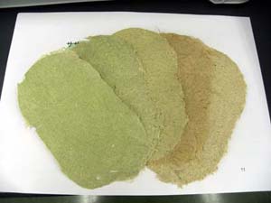 実験教室小学生08